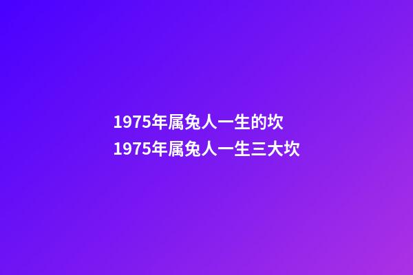 1975年属兔人一生的坎 1975年属兔人一生三大坎-第1张-观点-玄机派